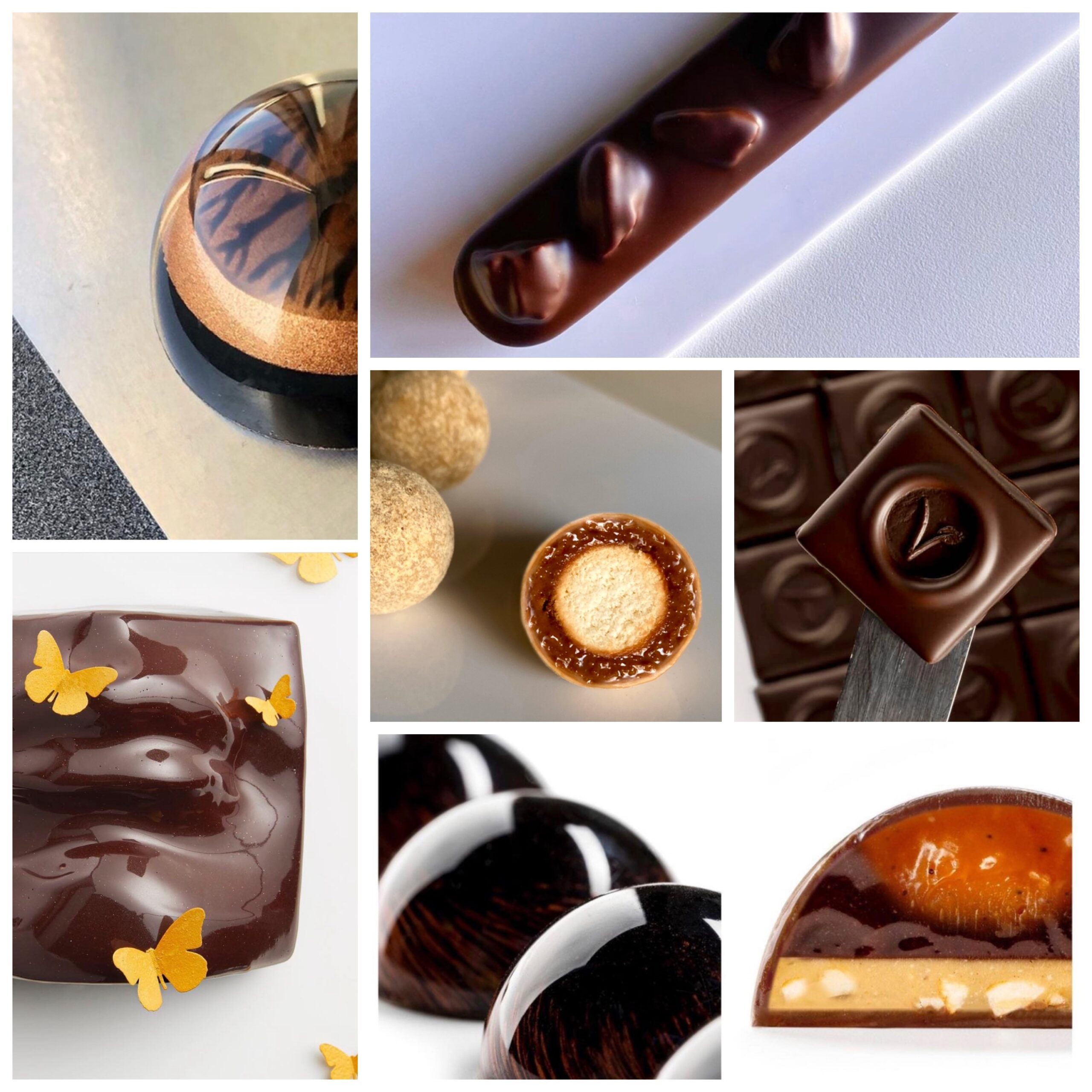 Thorough immersion in the world of chocolate: +600 hours of HD videos, all online live classes and all chocolate classes.